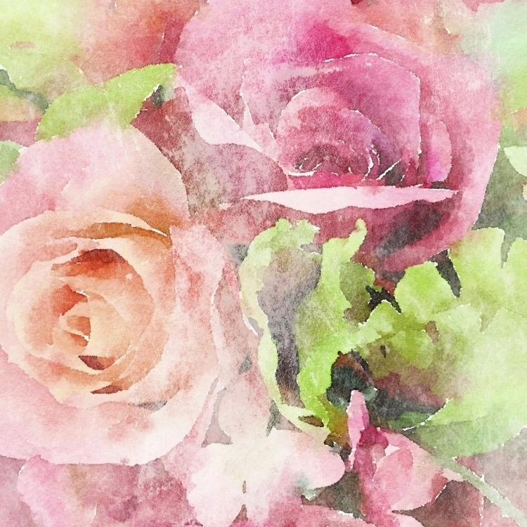 Passion Pink Rose Flower Poster Print by Orlov (12 x 16)