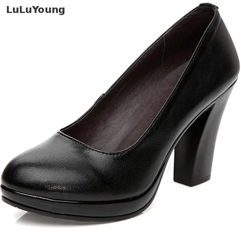 

High Heels Black Work Shoes Genuine Leather Black Women Work Pumps Office Shoes Sy-2843