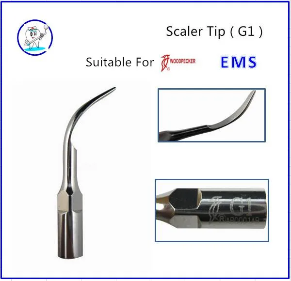 

Dental Ultrasonic Scaler Tips G1 New Dental Supragingival Scaling Ultrasonic Scaler tip fit EMS/Woodpecker G1