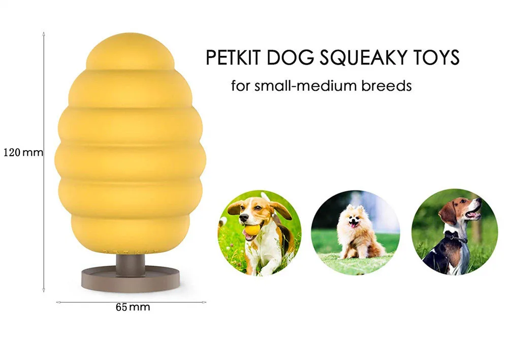 61R1jph0aKL._SL1500_