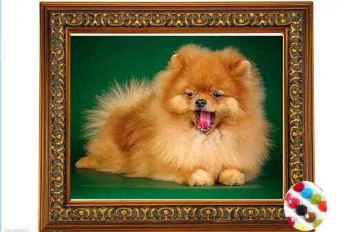 

diy diamond embroidery dog full drill cross stitch diy diamond mosaic animals Rubik's drill cube rhinestones Needlework