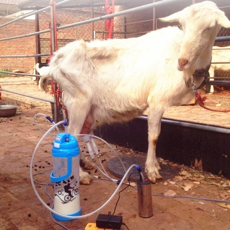 

3L Double Head Manually Sucking Milking Machine Portable Milk Vacuum Pump Bucket Milker Sheep Goat Cow Handle
