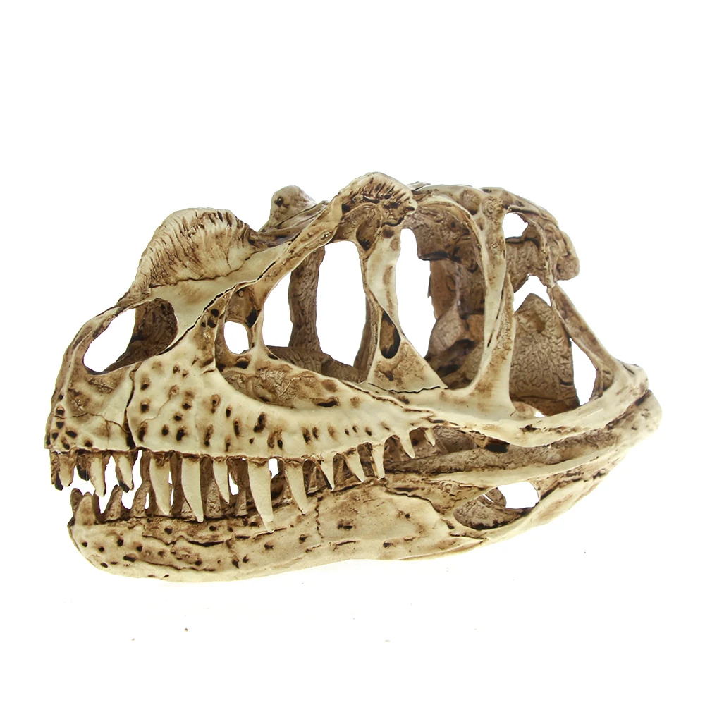 Ceratosaurus модель черепа высокая точность Рекс динозавр смола окаменелый череп