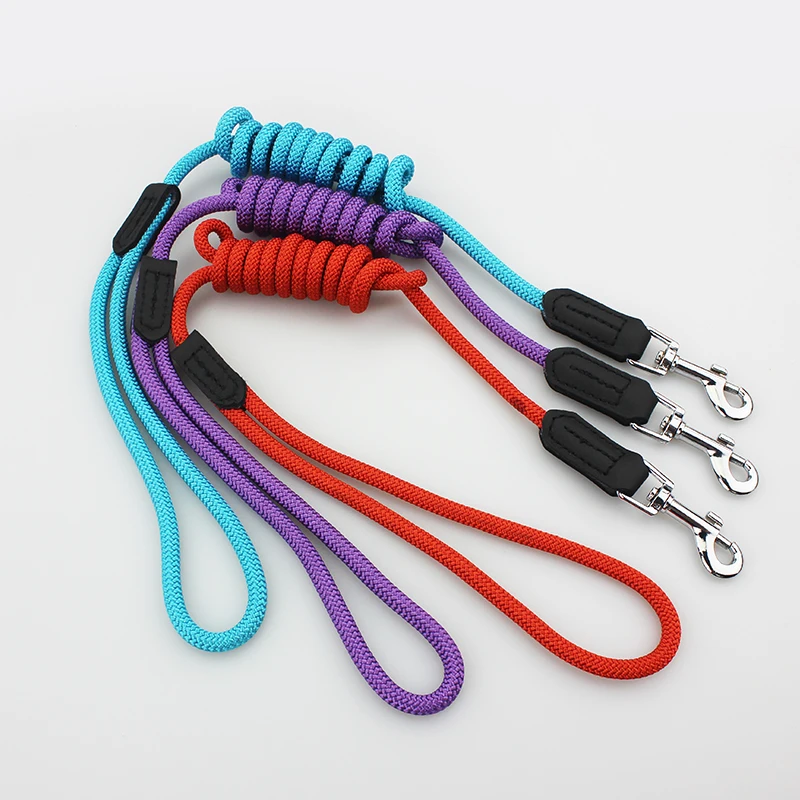 dog leash 5