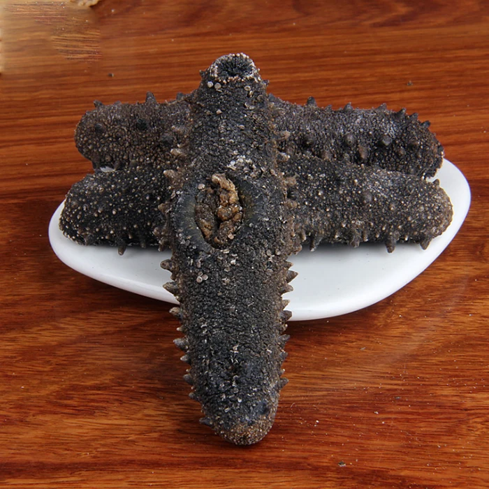 Sea Cucumber Food Price