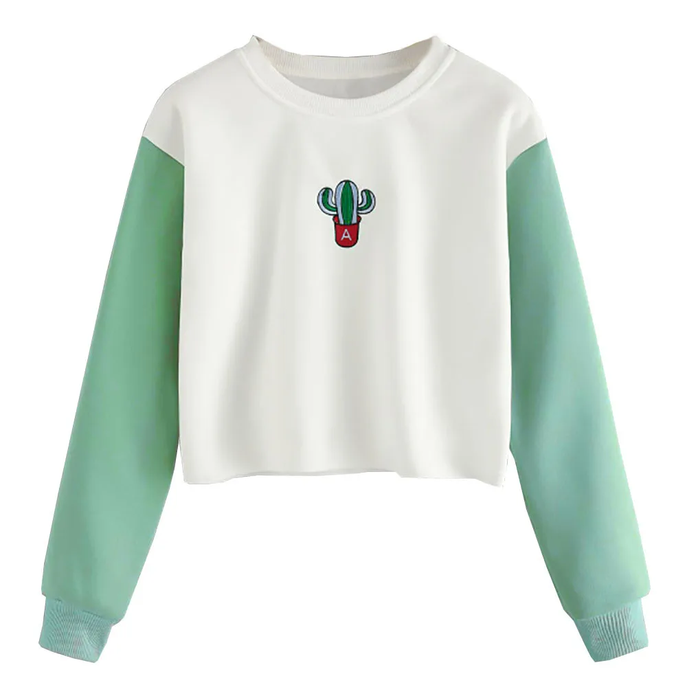 

2019 fashion hoodie sweatshirt pullover casual Jumper jacket hoody print Botany cute ladies brand women harajuku tops feminino