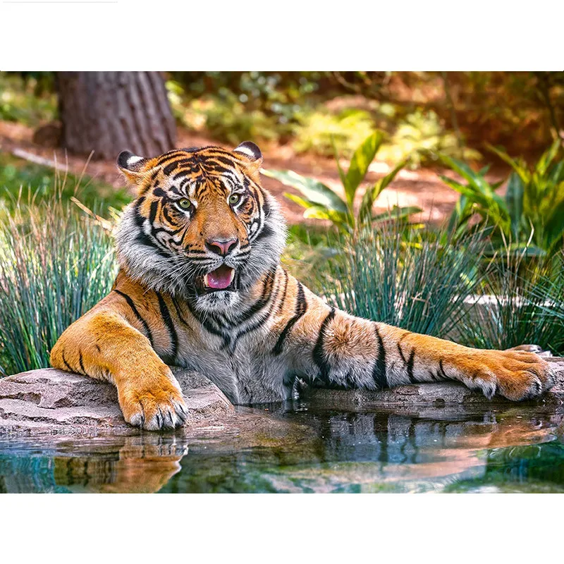 HTB13ODebdzvK1RkSnfoq6zMwVXaO