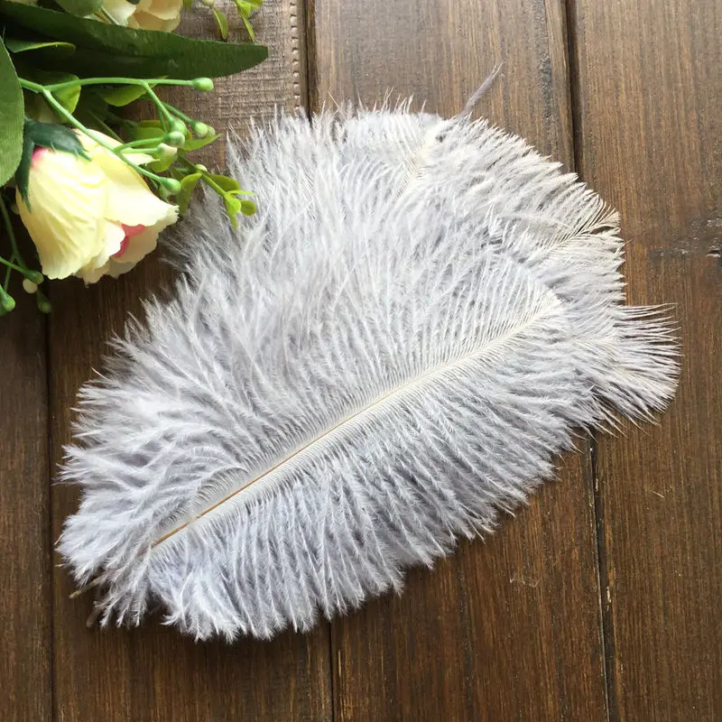Ostrich feather5