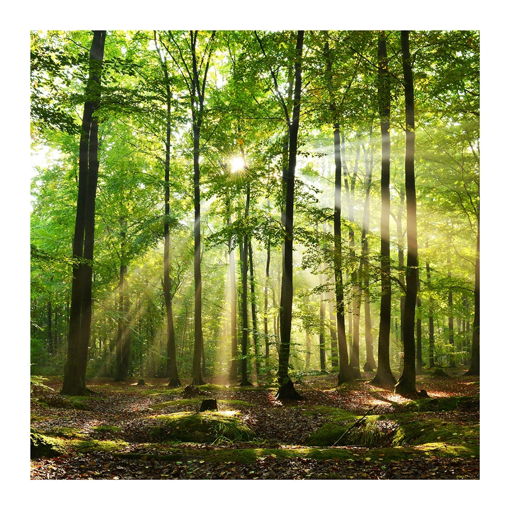 Modern Indoor Outdoor Wall Decor 3D Hanging Tapestry Beach Towel Forest Sunshine Series