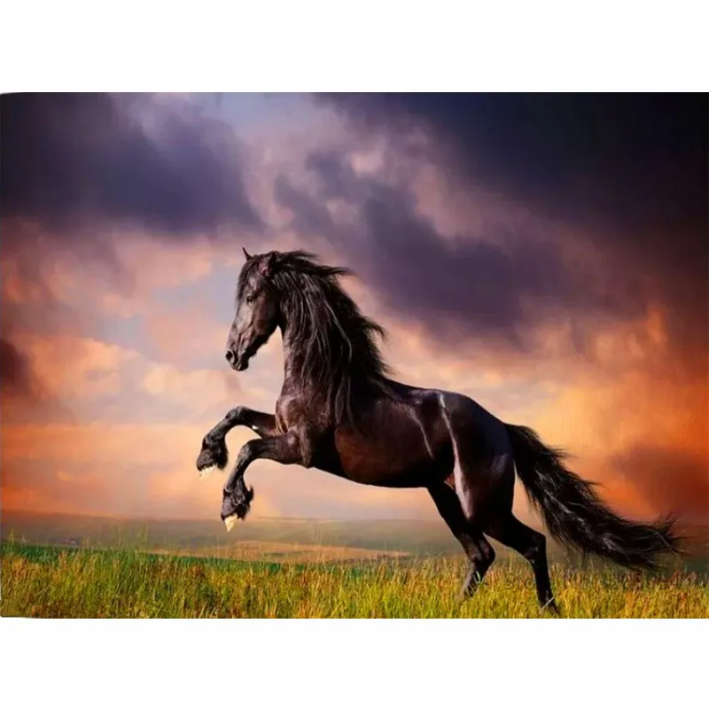 

CHUNXIA Framed DIY Painting By Numbers Animals Horse Acrylic Painting Modern Picture Home Decor For Living Room 40x50cm RA3210