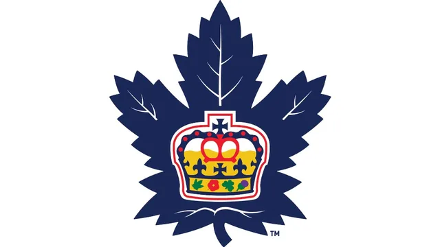 toronto maple leafs national ice hockey team flag custom banners