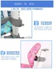 Children Furniture