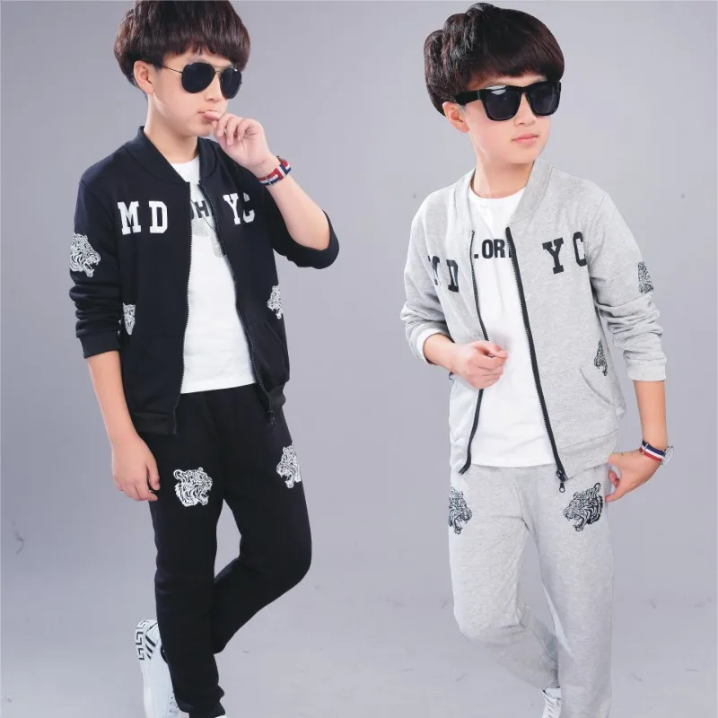 

Big Boys Clothes Set Autumn Winter Cotton Cartoon 2pcs Baby The Boy Tracksuit Children's Casual Suit Kids Clothing Set