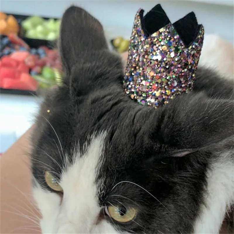 Hoomall милый собачий ошейник для кошек набор подходит для дня рождения вечерние украшения блестящая корона вязаная шляпа с бантом и ошейник для домашних животных модный котенок щенок гаджеты