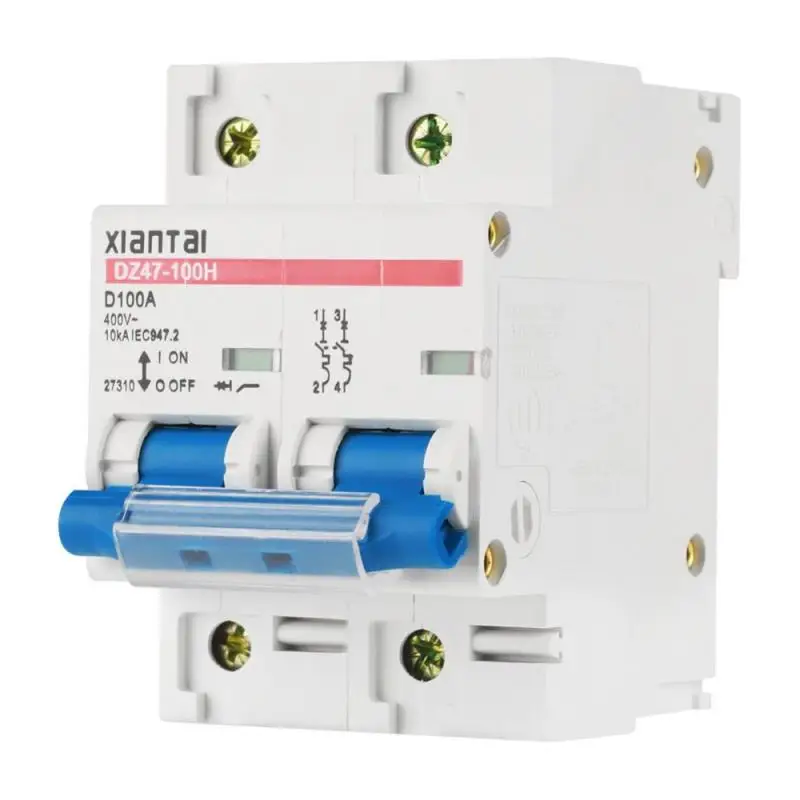 220V 100A 2P Circuit Breaker Low Voltage Miniature Circuit Breaker