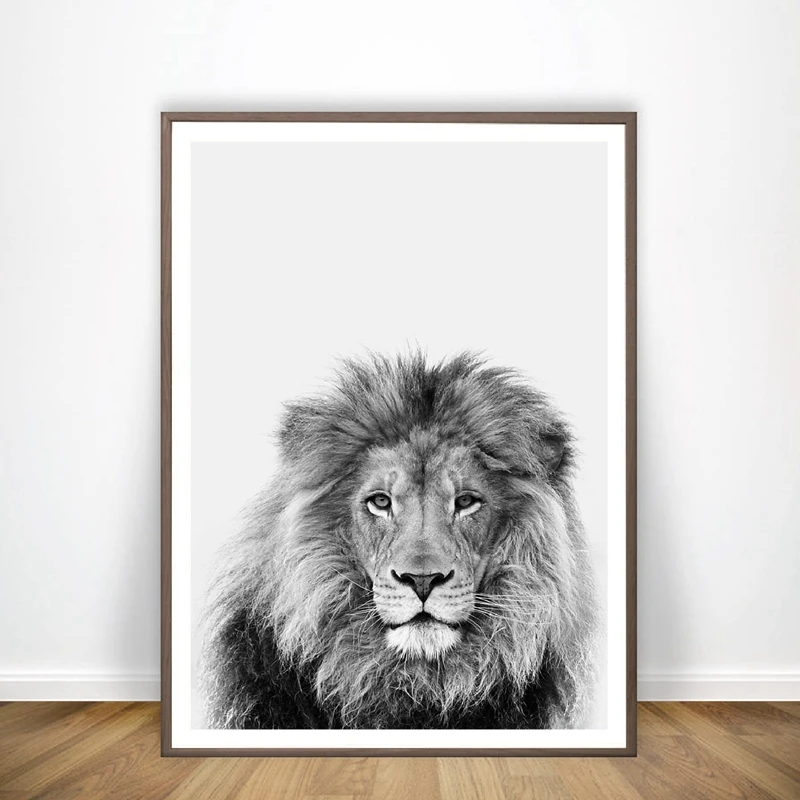 Lion Animal Print