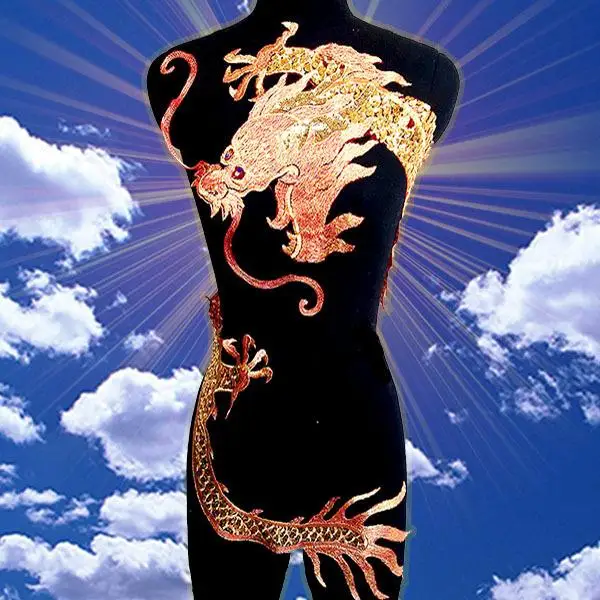 

50*120cm large golden dragon paillette embroidery on mesh cloth applique raw material for classic or performing clothes making