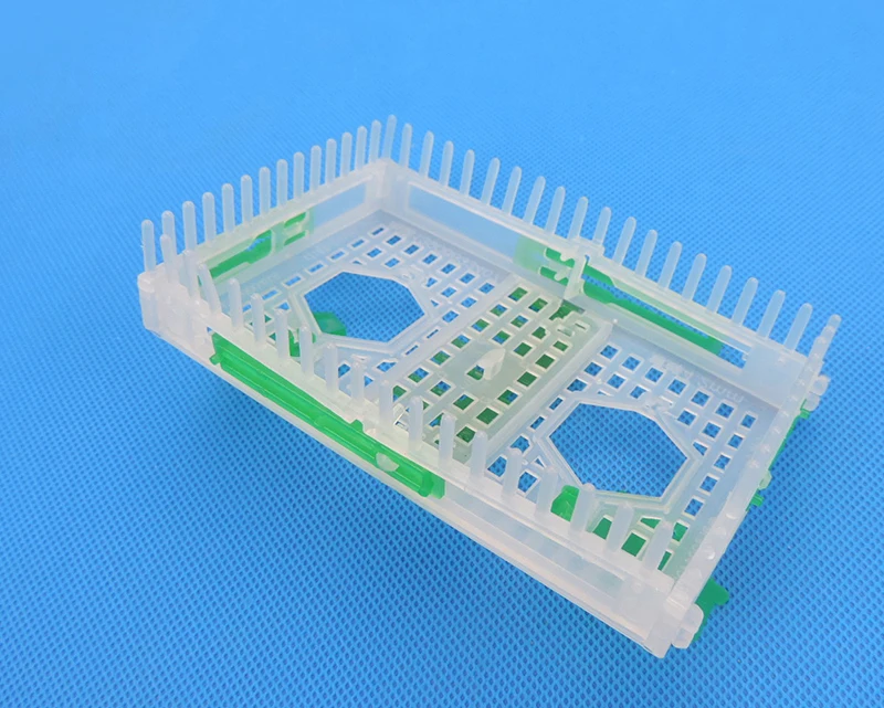 Пчела оборудования Пчеловодства Королева клетке Ligustica Спинола Пчелы Apis mellifera Toolsl30