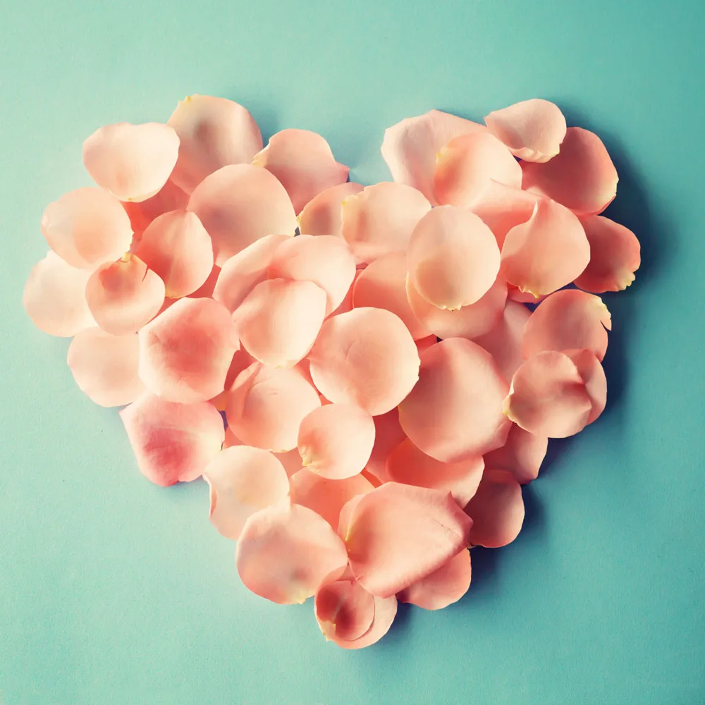 

10x10ft Vinyl Custom  Photography Backdrops Studio Props Valentine day Theme Background JVA-024