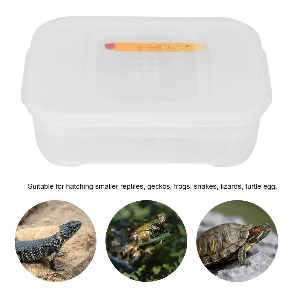 12 Egg Holes Plastic Reptiles Eggs Incubator Breeding Box Snakes Gecko