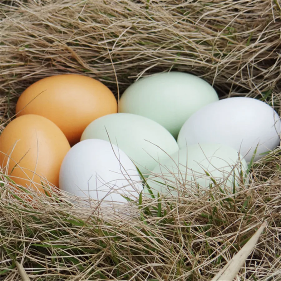 

1PCS High Artificial Egg Fake Simulation Foods Vegetables Teach Ornament Photography props Creative Gifts Toys For Children