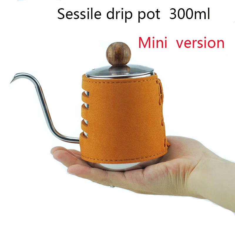 Mini sessile drip pot 300ml stainless steel coffee pot Drip Kettle Coffee kettle Swan Neck Drip