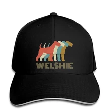 Забавная мужская бейсбольная кепка для женщин, новинка, винтажная классная бейсболка валлийского терьера