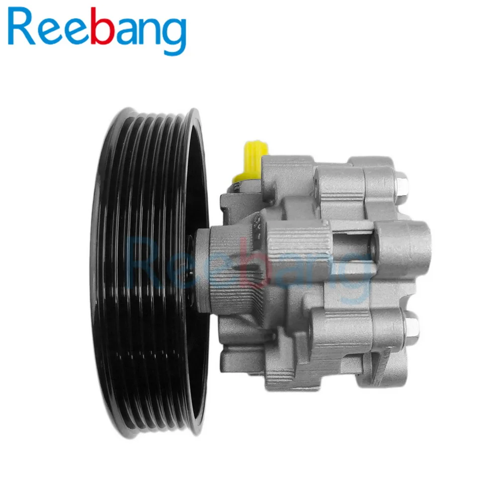 Chevrolet Captiva 2.4 power steering pump 95048234 [3]