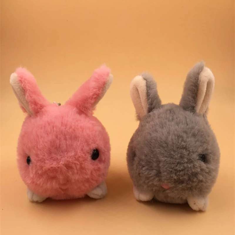 rabbit (3)