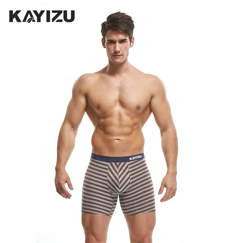 KAYIZU Brand Male Underwear Sexy Men Underwears Pants Breathable Underpants Cotton Men's