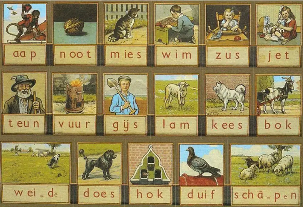 360截图20190615145925222