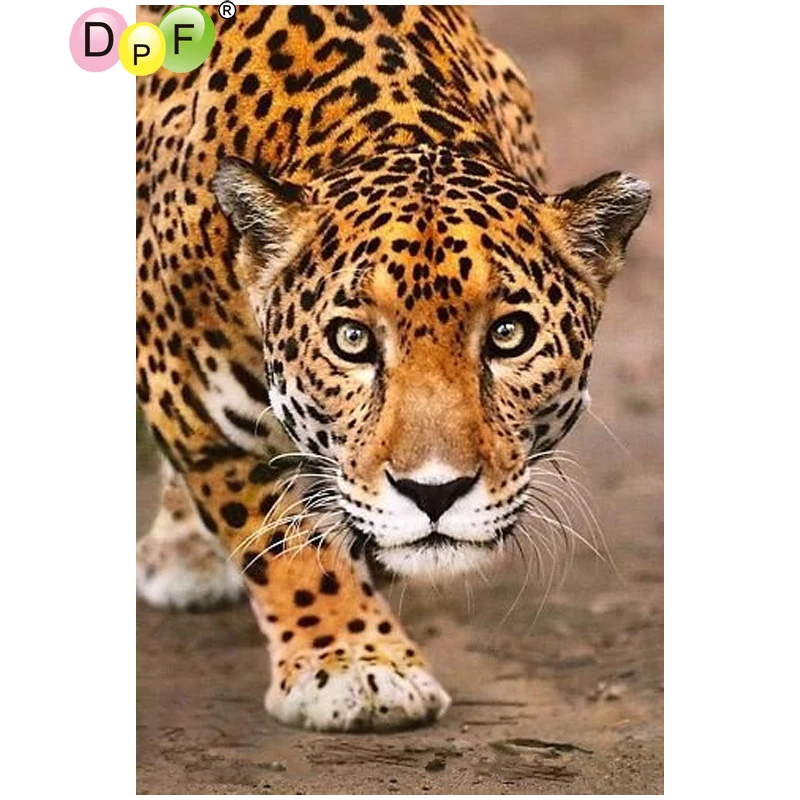 2030.2535.3045.4060.5075