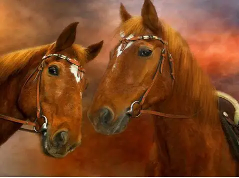 3D DIY Diamond Painting Cross Stitch picture Crystal Needlework Embroidery animal horses pattern Full drill resin | Дом и сад