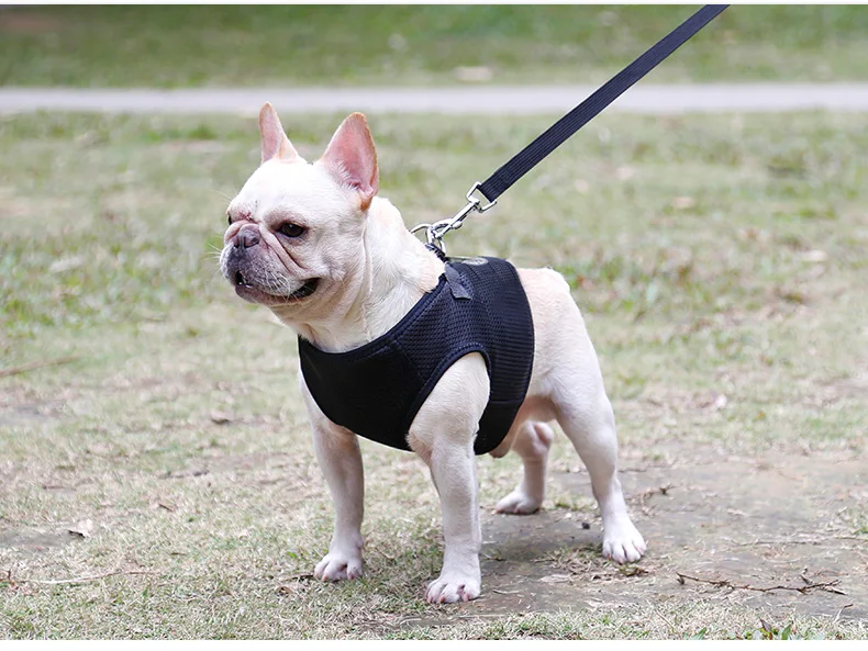Dog Harness Breathable (14)