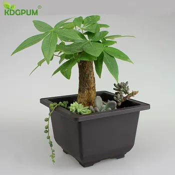 

1PCS Plastic Flower Pot Tray Creative Balcony Ornament Garden Plant Potted Square Succulent Plant Plastic Pot Garden Tools