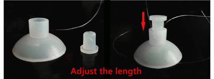 3698183598_393516870