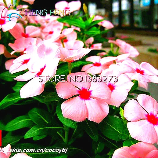 Promoción de techo de diseño de jardines compra techo de ...