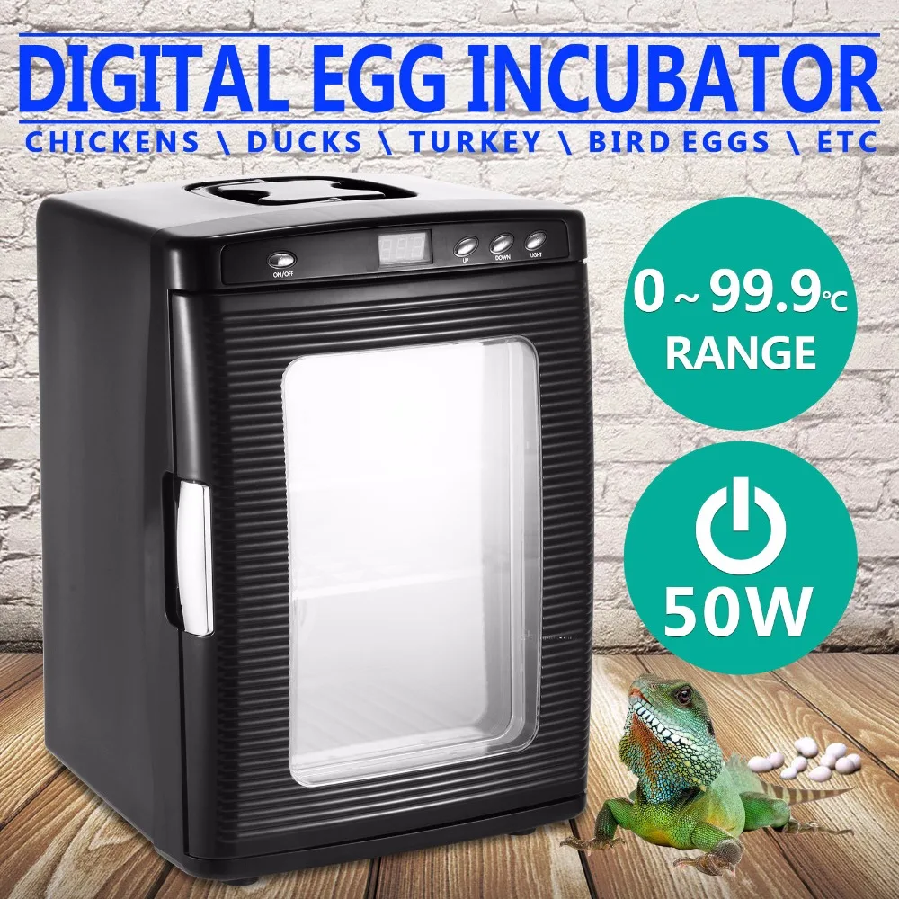 Chicken egg incubator for snakes
