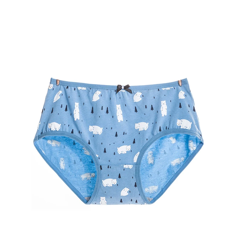 LANGSHA 5Pcs/lot Women Panties Sexy Cotton Briefs Lovely Printed Lady Underwear Seamless Wholesale Girls Underpants Plus Size3XL LANGSHA 5Pcs/lot Women Panties Sexy Cotton Briefs Lovely Printed Lady Underwear Seamless Wholesale Girls Underpants Plus Size3XL