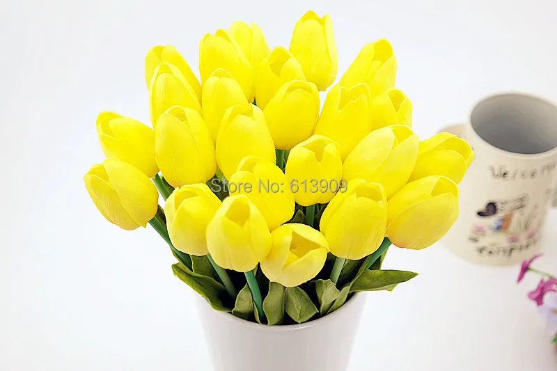SAM_6459