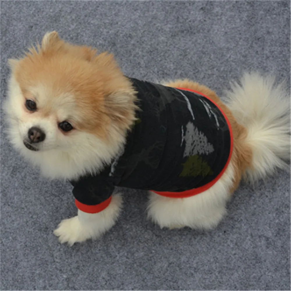 3541108523_361259826