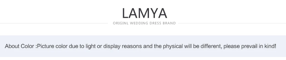 LAMYA Long Evening Dresses Fashion Lace Appliques Boat Neck Soft Tulle Vestidos Prom Party Dress a Line Sexy De Festa Plus Size evening gowns