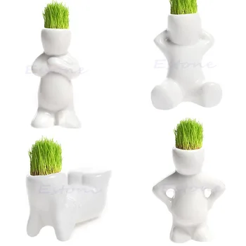 

4 shape Choose DIY Mini Novel Bonsai Grass Doll Hair White Lazy Man Plant Garden