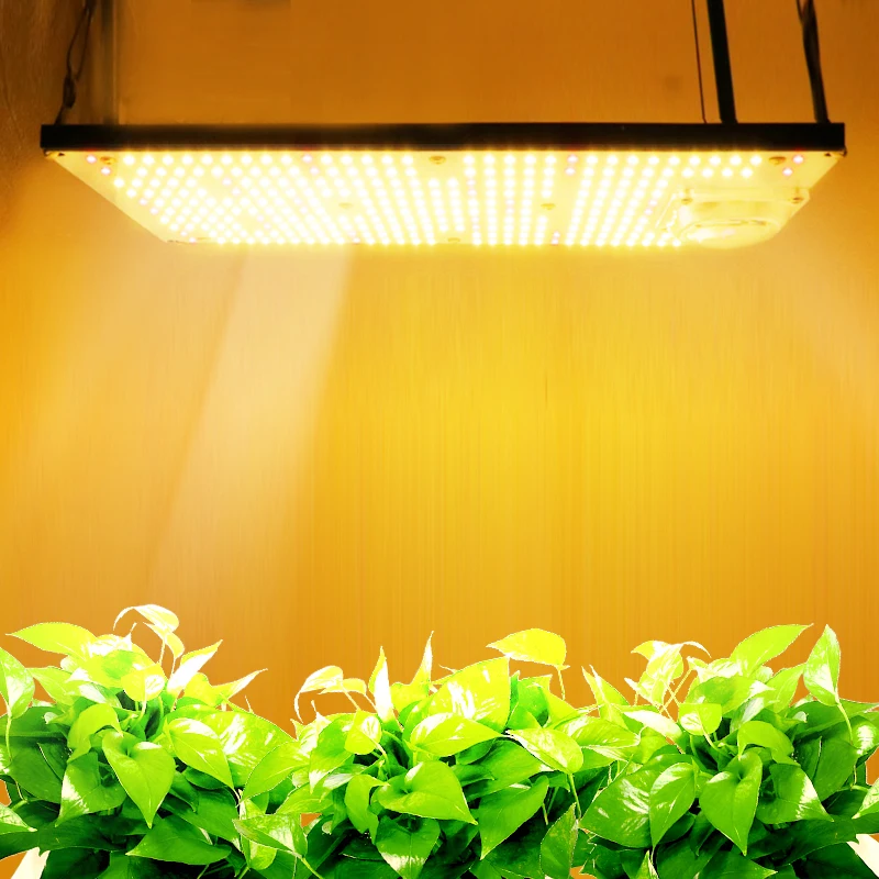 Special Price Super Bright 120W 240W Led Grow Light Quantum Board Full Spectrum Samsung LM301B SK 3000K 3500K 4000K 660nm Meanwell Driver DIY