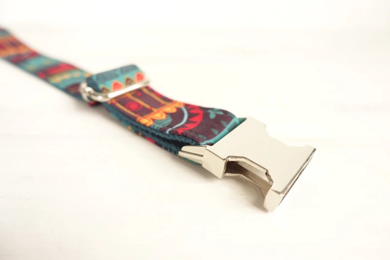 Designer Dog Collars  (8)