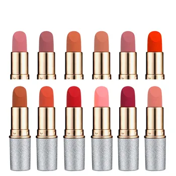 

12 Color Waterproof Matte Moisturizer Lipstick Long Lasting Red Fashion Sexy Lip Gloss Liquid Make up