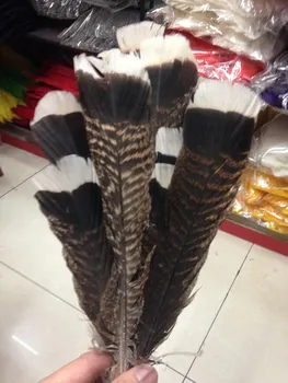 

100Pcs/Lot! 10-15cm 4-6inches long Primary Saddle Wild Turkey Fan Feathers,excellent Wild turkey feathers