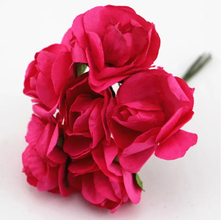 10233482688_2072129307