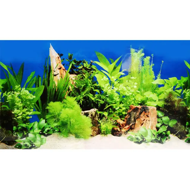 online shop aquarium background poster fish tank ocean decorative
