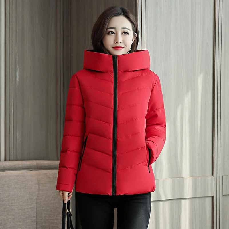 New  Stand Collar Hooded Winter Jacket Women Autumn Basic Jacket Ladies Female Coat Coats Outwear Casaco